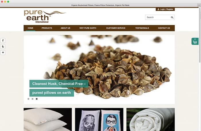 Pure Earth International